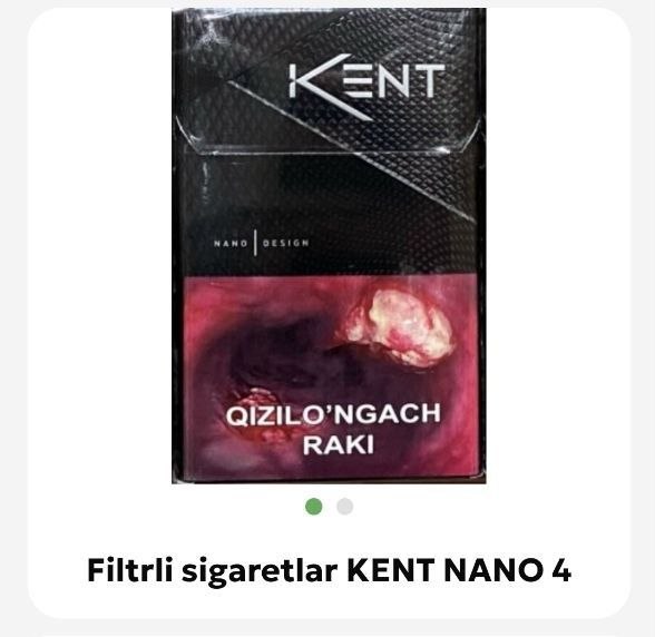 kent(nano 4)